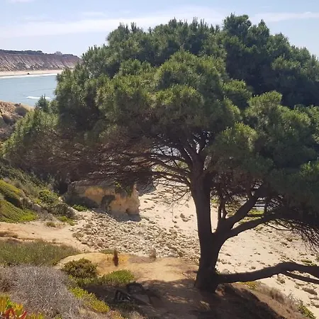 Lägenhet Casa Da Albufeira