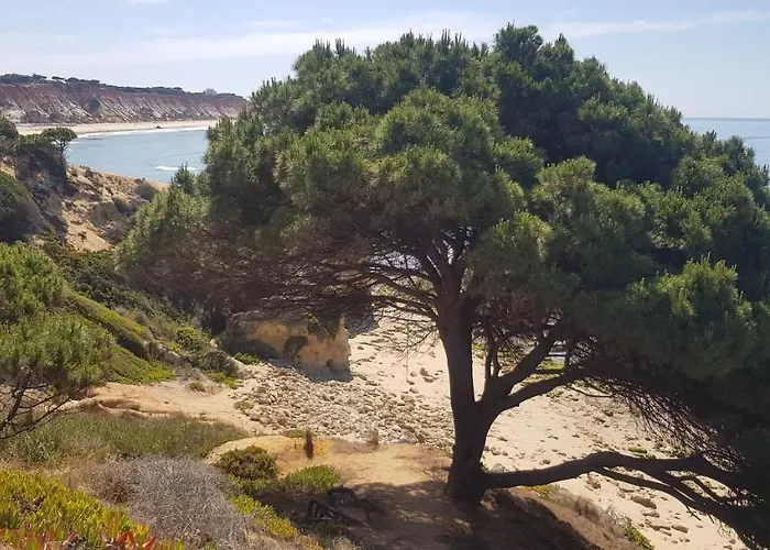 公寓 Casa Da 阿尔布费拉