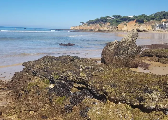 Casa Da * 阿尔布费拉