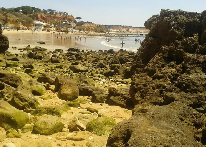 Casa Da 阿尔布费拉