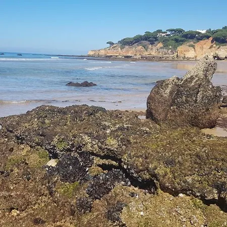 Casa Da * 阿尔布费拉